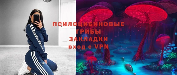 ГАЛЛЮЦИНОГЕННЫЕ ГРИБЫ Мегион