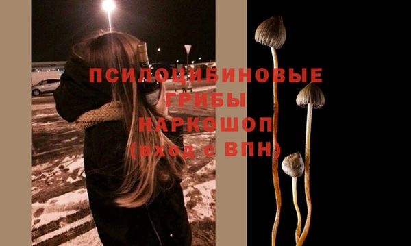 MDMA Михайловск