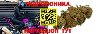 apvp Донецк