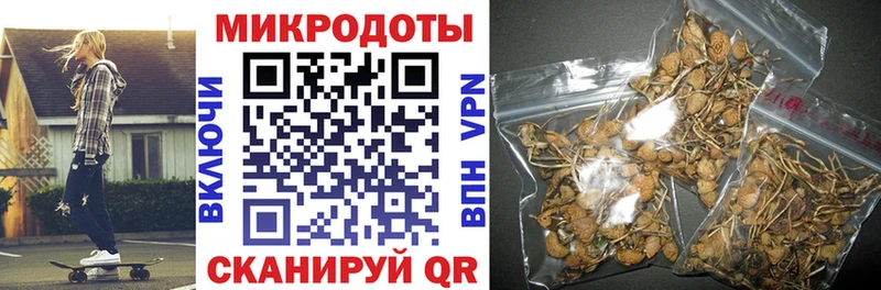 Псилоцибиновые грибы Magic Shrooms  МЕГА сайт  Магадан 