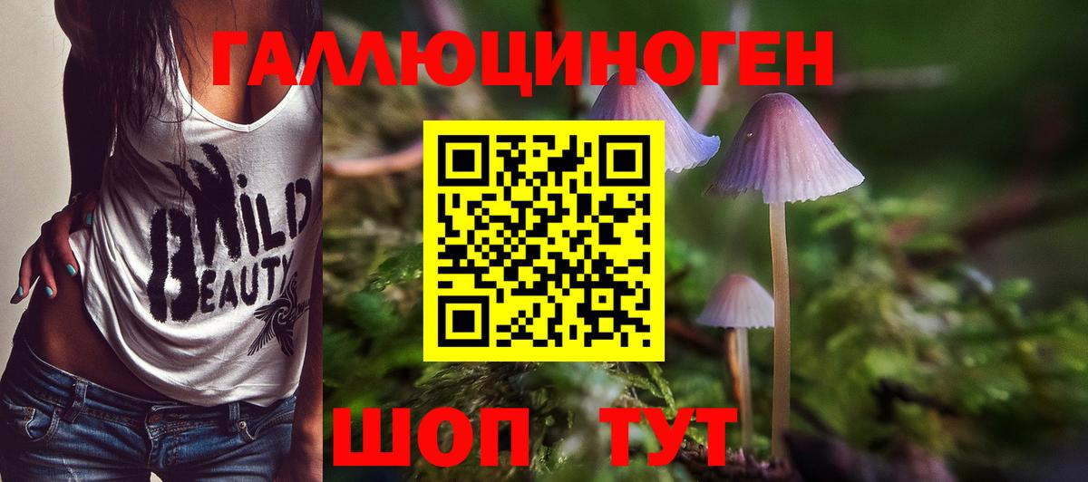 Магадан  Галлюциногенные грибы GOLDEN TEACHER  Вход с VPN 